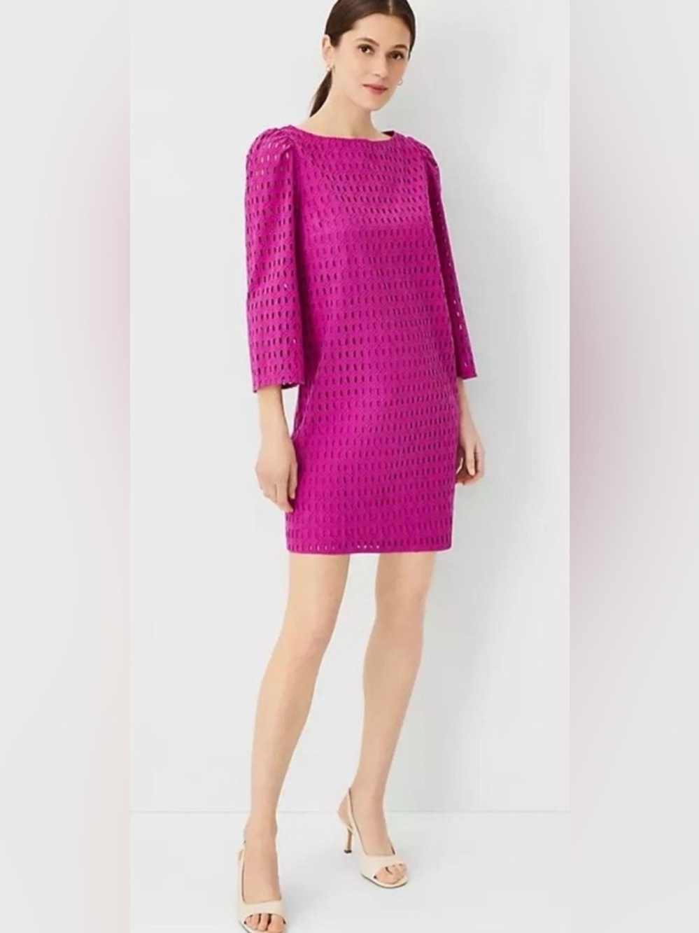 Ann Taylor Magenta Eyelet Shift Dress Petite Size Large LP